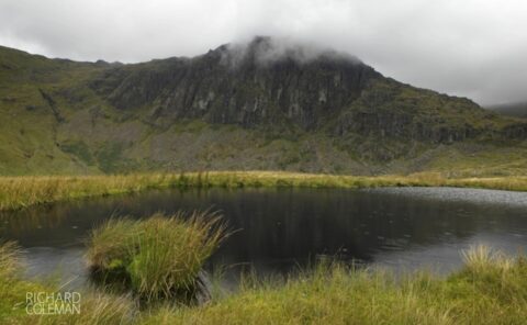 Photo of Small Tarn near Stickle Tarn